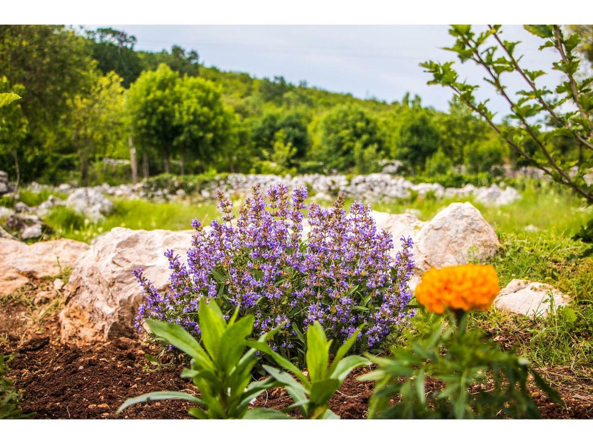 Villa Katja Omis Bagian luar foto