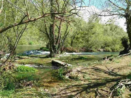 Villa Katja Omis Bagian luar foto